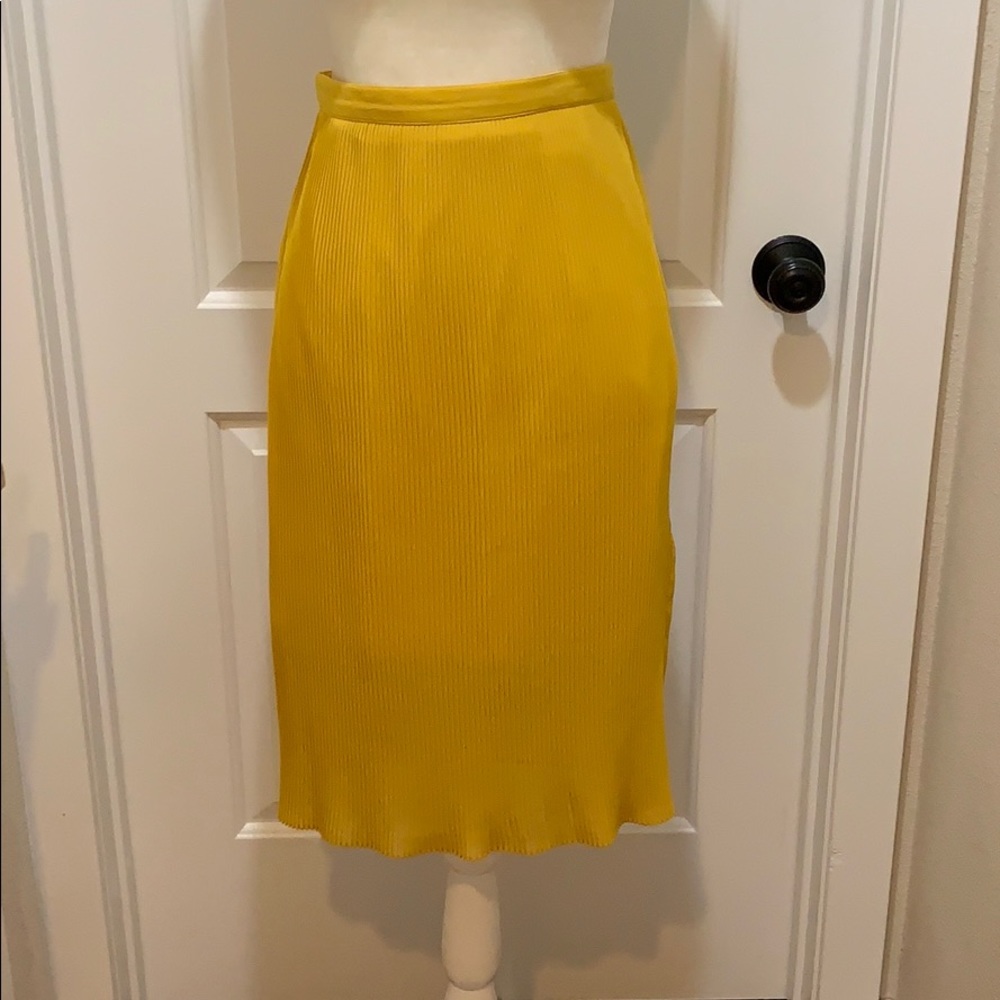 Broadway & Broome pleated skirt